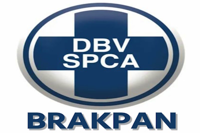 Brakpan SPCA Night Trail Run & Walk